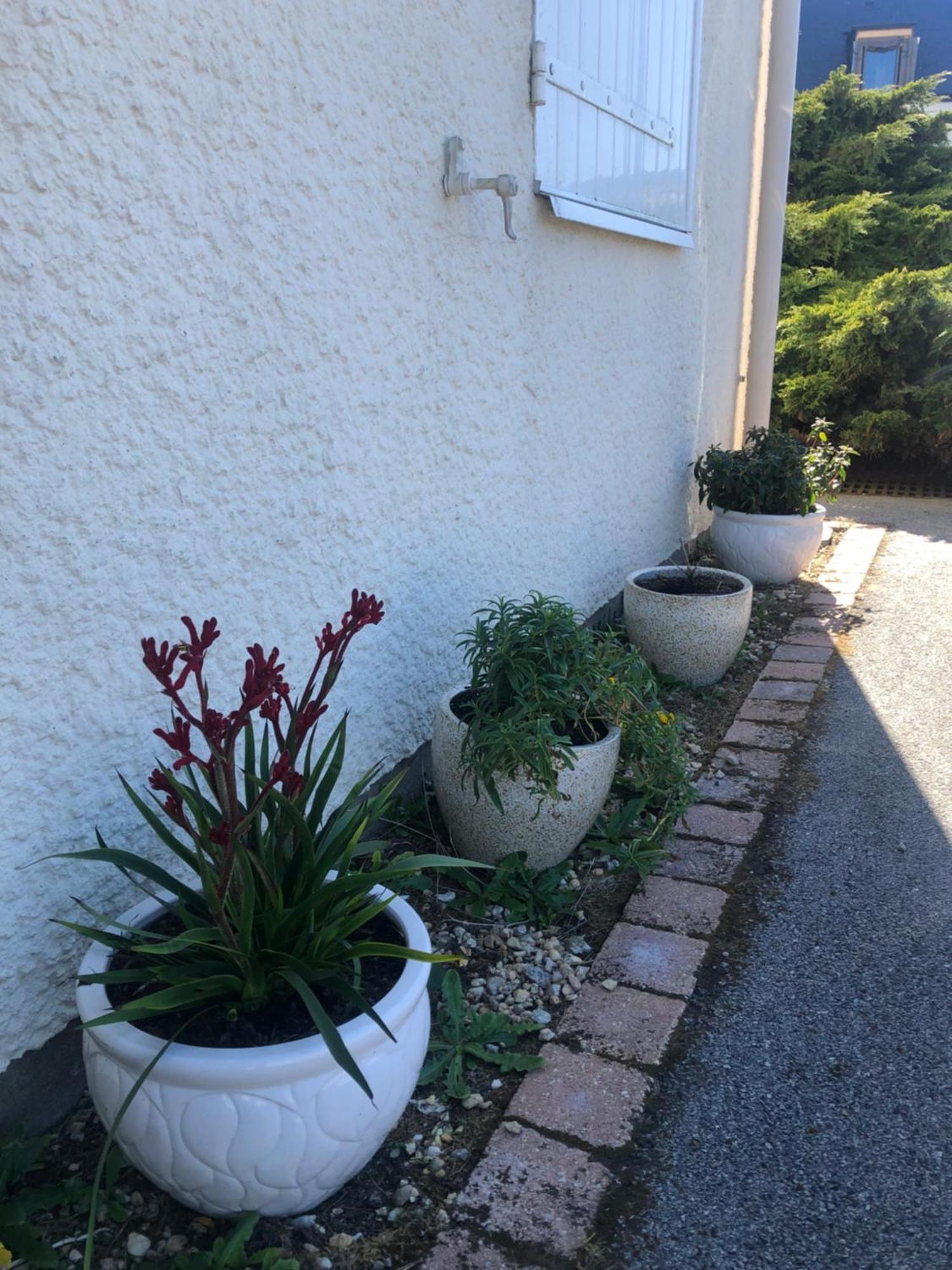 Arzon Maisonnette Cosy Kerkarin Extérieur photo